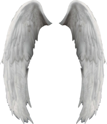 Angel Wings Ali d'angelo PSD Filesize 341 MB Downloads 3209