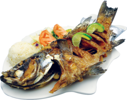 Fried Fish Dinner (PSD) | Official PSDs