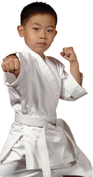 Karate Kid (PSD) | Official PSDs