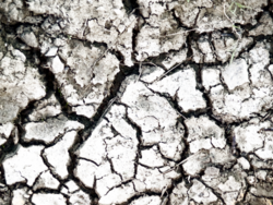 Dirt Grunge Effect (PSD) | Official PSDs