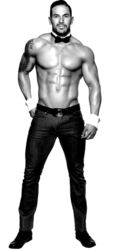 Male Stripper (PNG) | Official PSDs