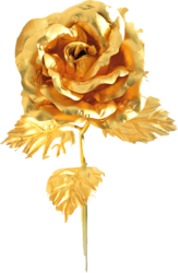 Gold Rose (PSD) | Official PSDs