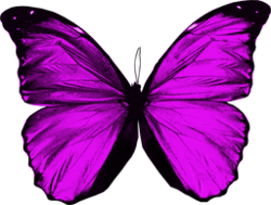 Purple Butterfly (PSD) | Official PSDs