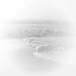 Ocean (PSD) | Official PSDs