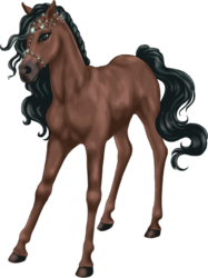 Baby Horse (PNG) | Official PSDs