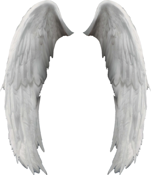 Angel Wings Ali Dangelo (PSD) | Official PSDs