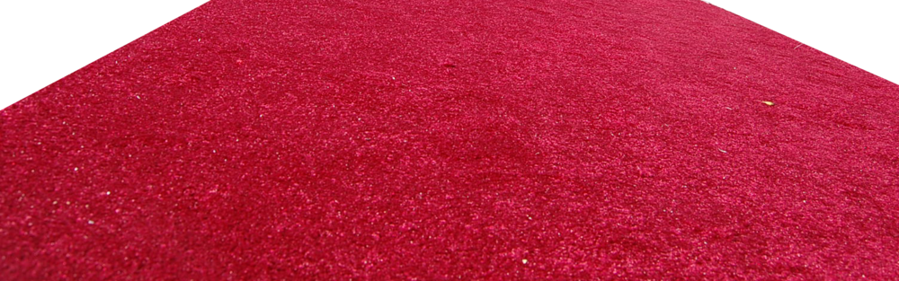 Red Carpet PNG Image - PurePNG  Free transparent CC0 PNG Image Library