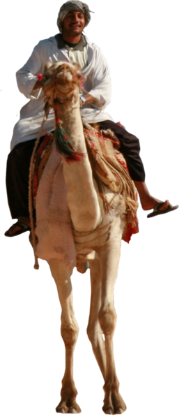Man Riding Camel (PSD) | Official PSDs