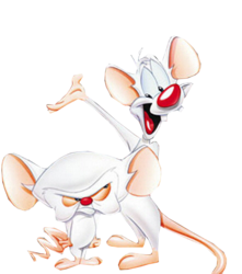 Pinky And The Brain (PSD) | Official PSDs