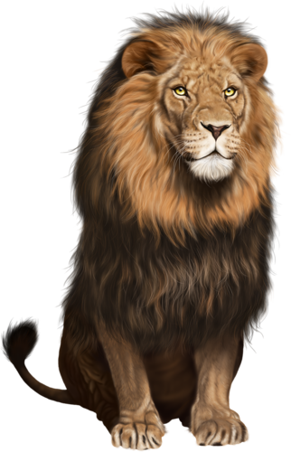 Lion Sit (PNG) | Official PSDs