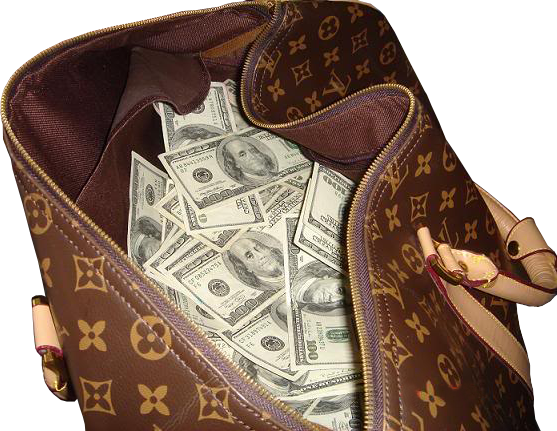 Image result for money in bag