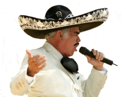 Vicente Fernandez (PSD) | Official PSDs