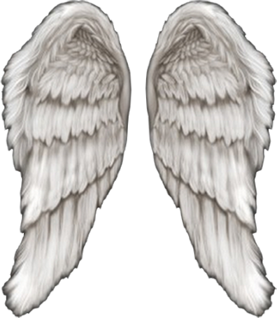 Angel Wings (PSD) | Official PSDs