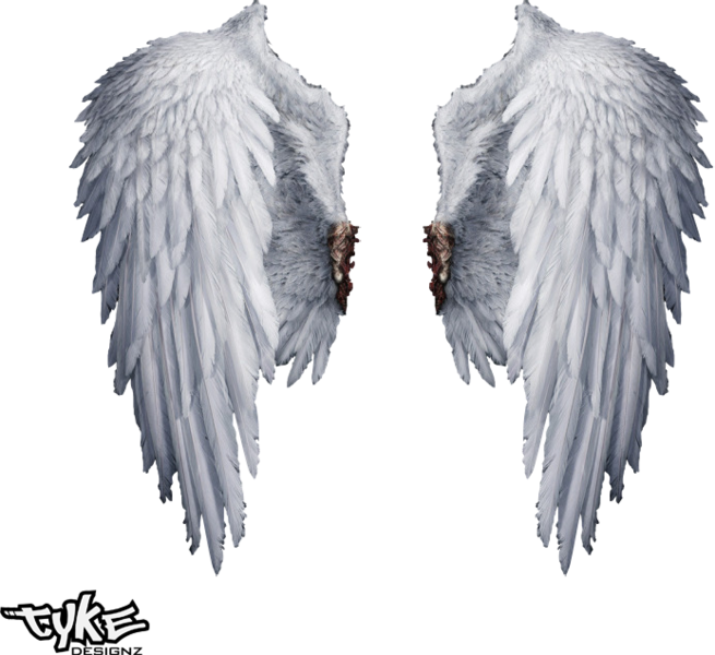 Angel Wings Hq (PSD) | Official PSDs