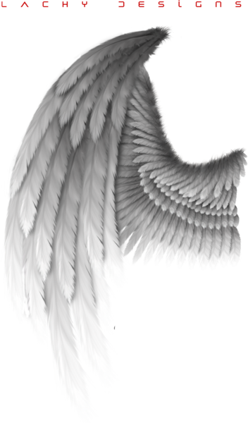 Wing (PSD) | Official PSDs