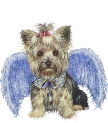 Dog With Angel Wings (PNG) | Official PSDs