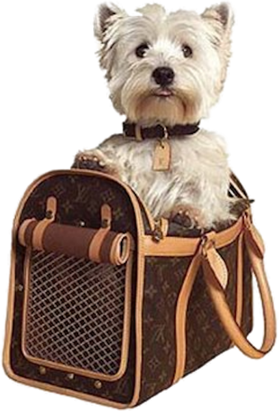 Louis Vuitton Suhali Dog Bag  Luxury dog carrier, Dog bag, Dog