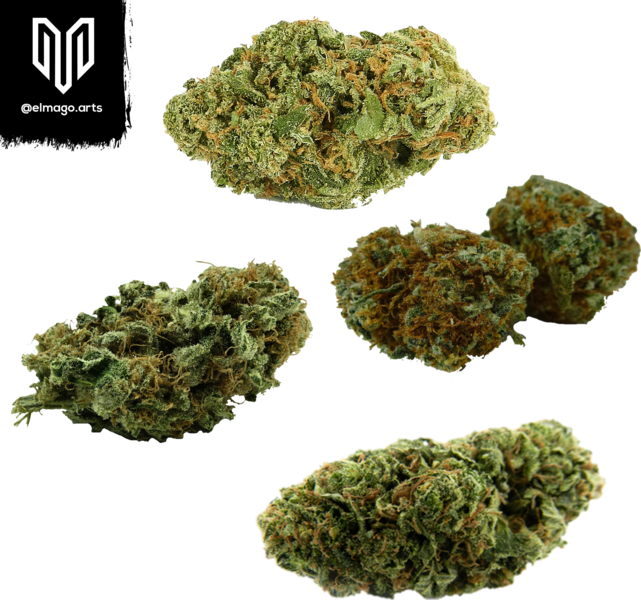 Download Weed Psd Official Psds
