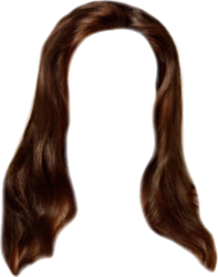 Long Brown Wig (PSD) | Official PSDs