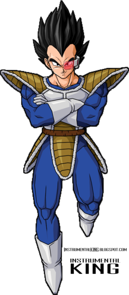 vegeta kai